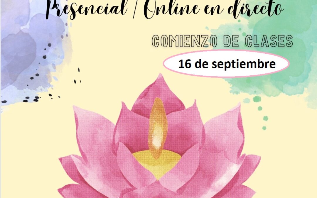 Clases Yoga presencial y online en directo