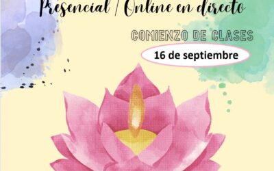 Clases Yoga presencial y online en directo